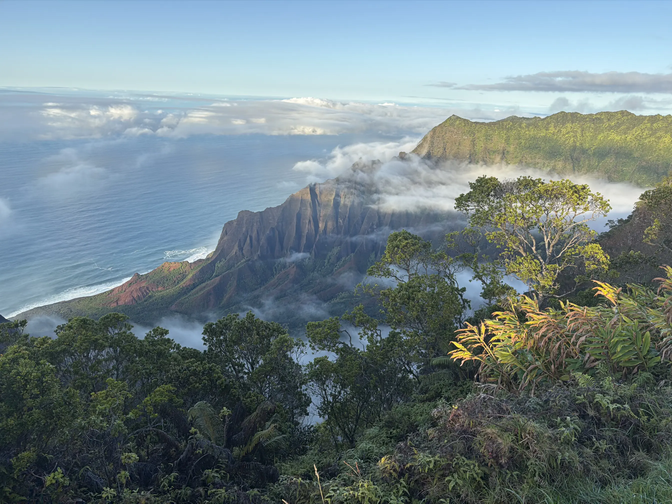 Spinal Simplicity Image